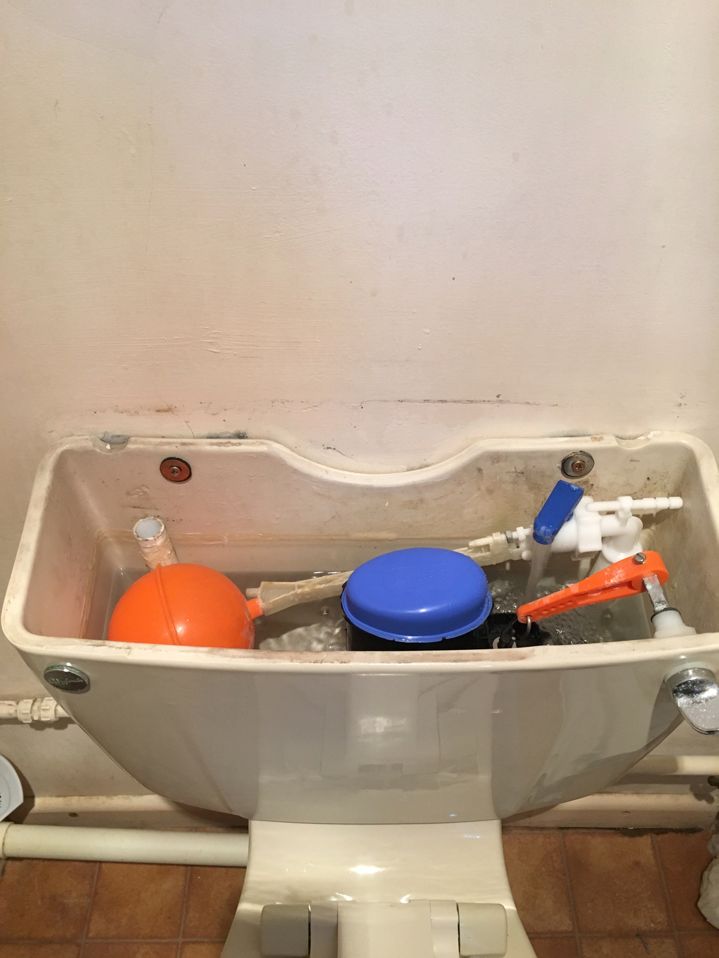 Flush valve replacement
